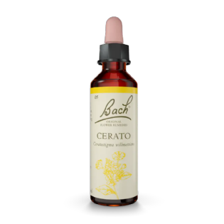 Cerato Floral de Bach Original
