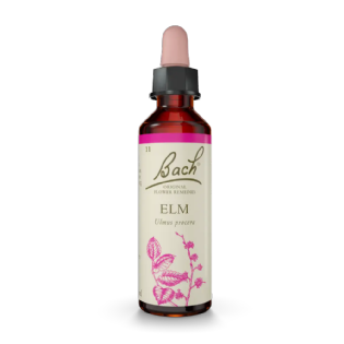 Elm Floral de Bach Original