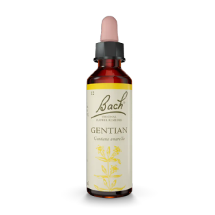 Gentian Floral de Bach Original