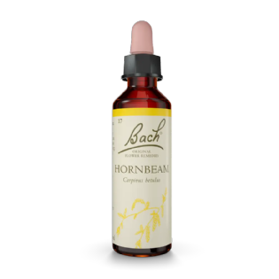 Hornbeam Floral de Bach Original