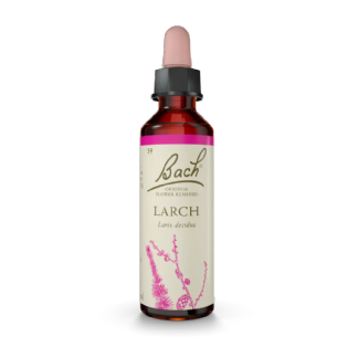 Larch Floral de Bach Original