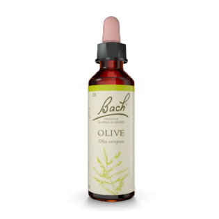 Olive Floral de Bach Original