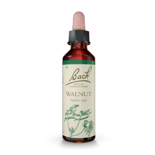 Walnut Floral de Bach Original