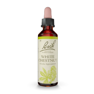 White Chestnut Floral de Bach Original